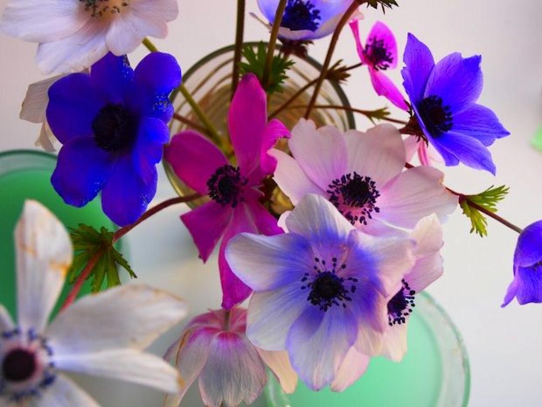 Επίσημη "πρώτη" της Άνοιξης από σήμερα το απόγευμα