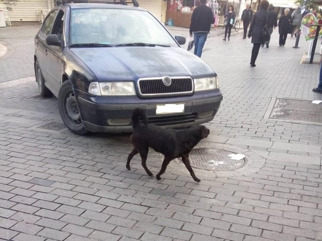 παράνομο παρκάρισμα