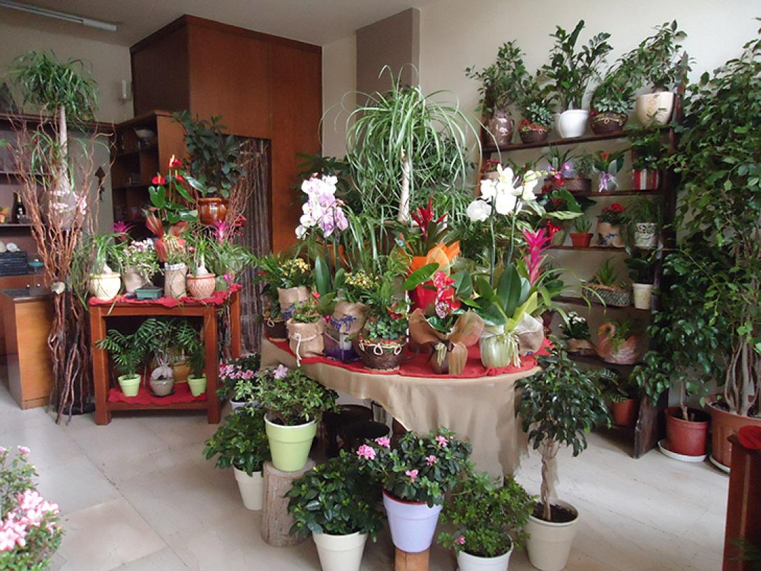 " Ανθεί " το παραεμπόριο στα ανθοπωλεία