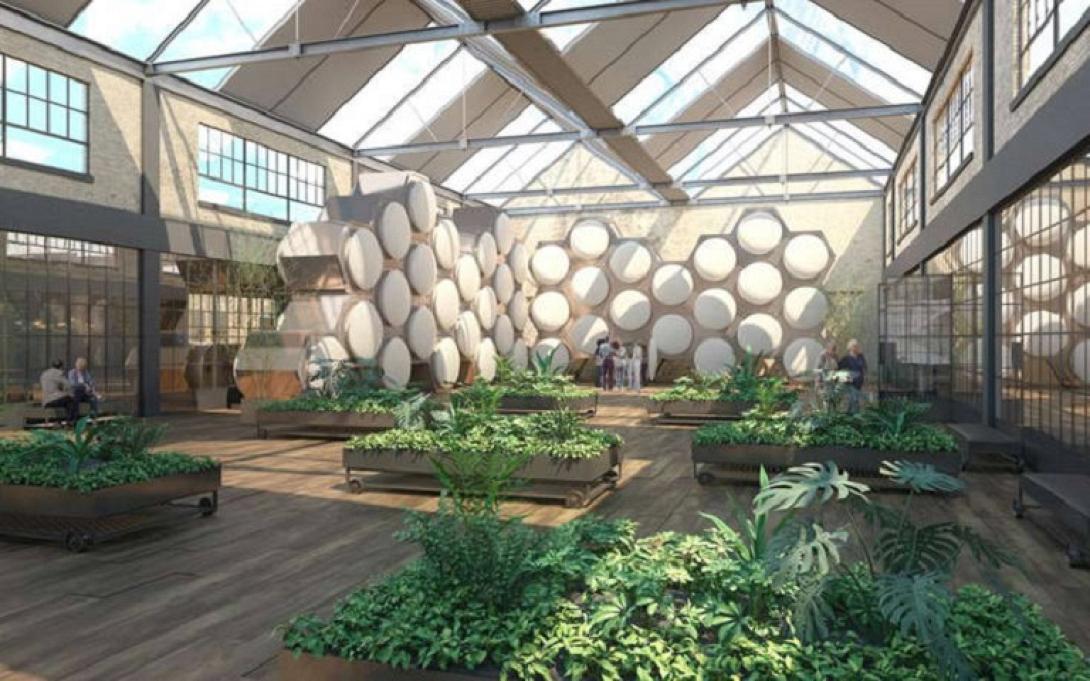 ανθρώπινη κομποστοποίηση.jpg