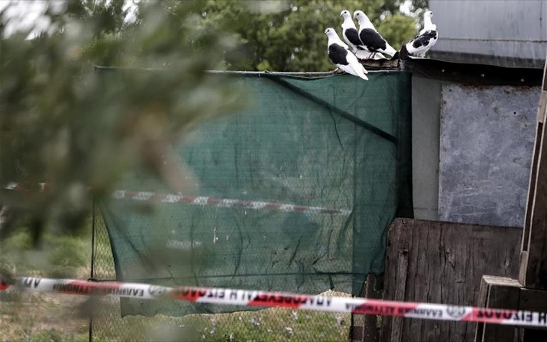 anthropoktonia-14xronou