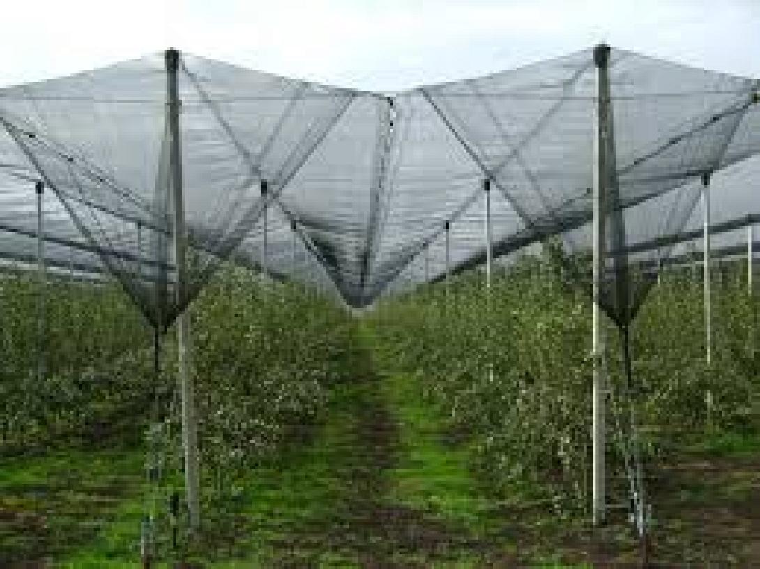 Δόθηκαν από τον ΕΛΓΑ οι εγκρίσεις για τα αντιχαλαζικά 