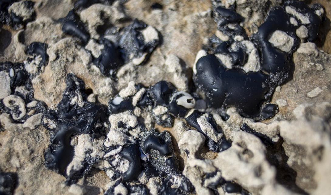 ισραηλ πετραιλεοκηλιδα