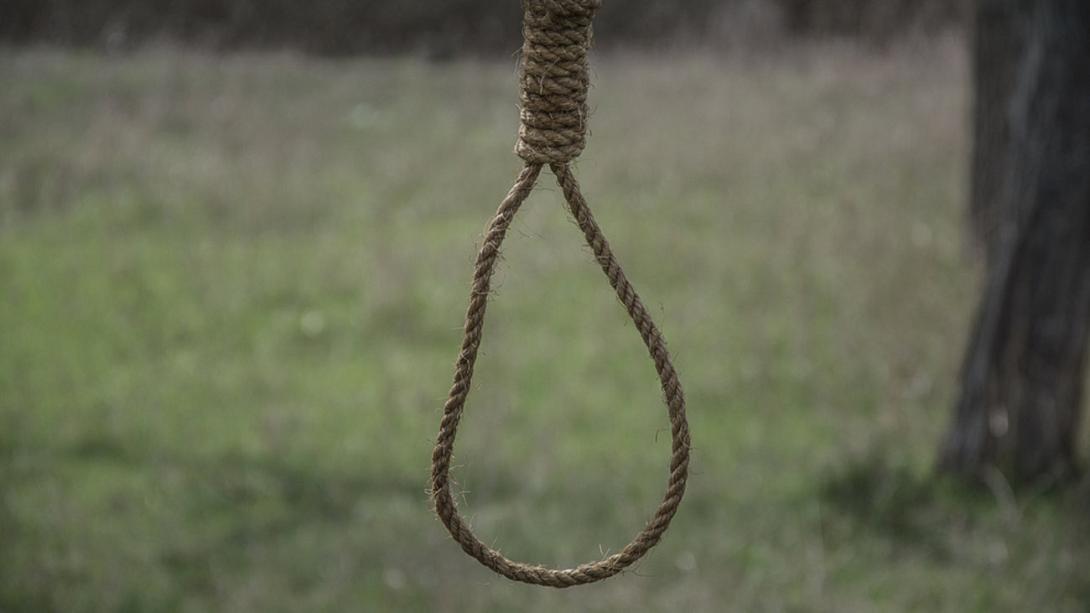 απαγχονισμός δέντρο