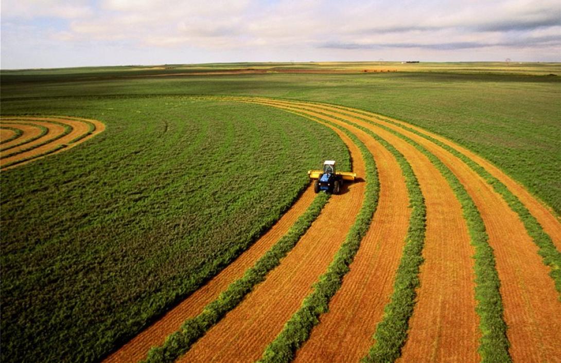 απονιτροποίηση