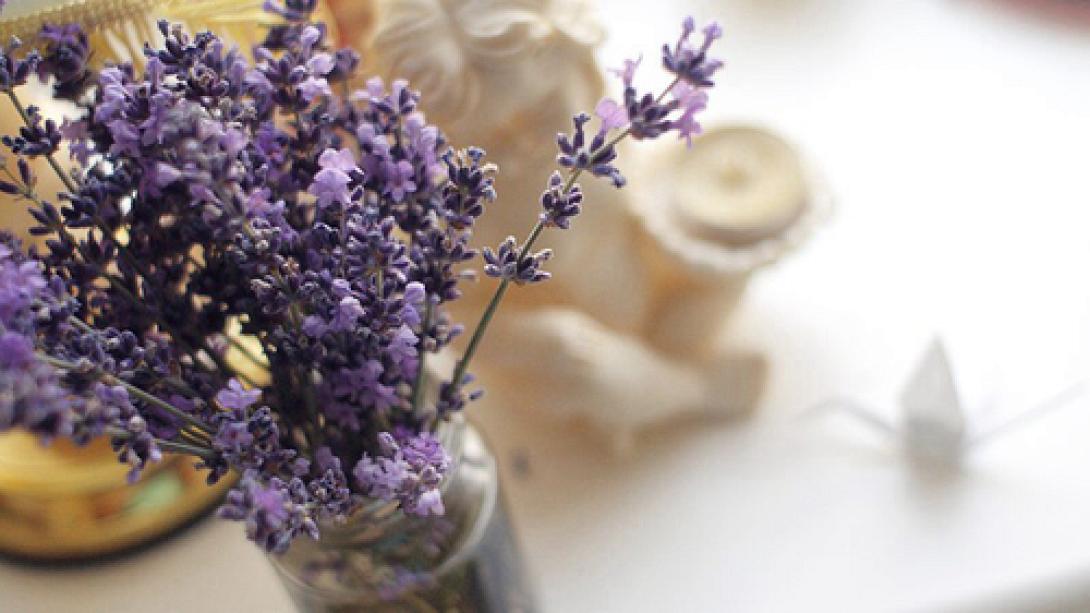 Οι αποτελεσματικές χρήσεις της λεβάντας 