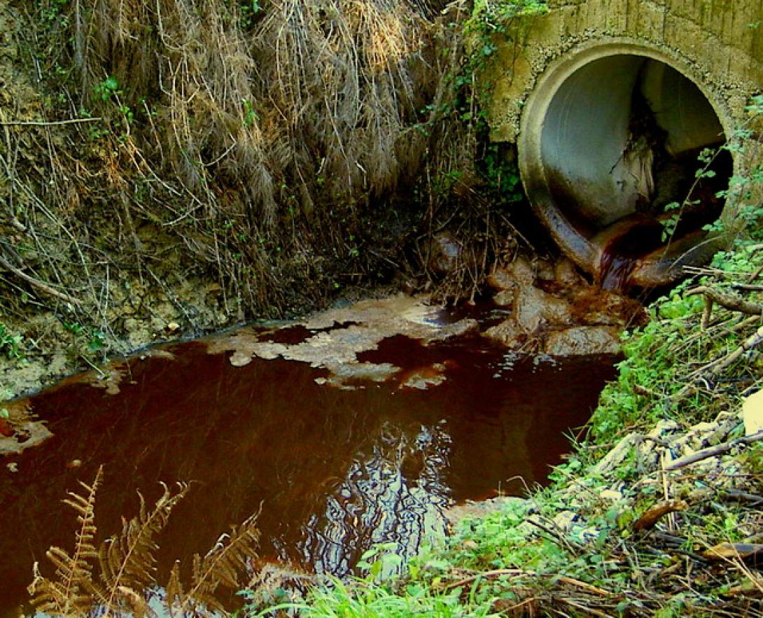 κατσίγαροι