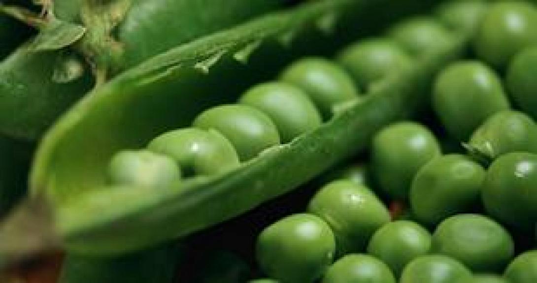 Χώρισε το σύζυγο της για...τον αρακά!