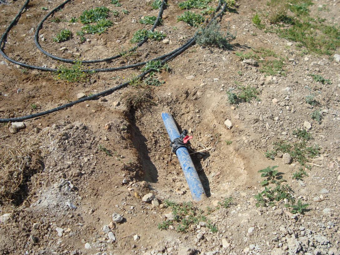 Αποζημιώνεται ο δήμος Σητείας για το αρδευτικό σύστημα λόγω των πυρκαγιών