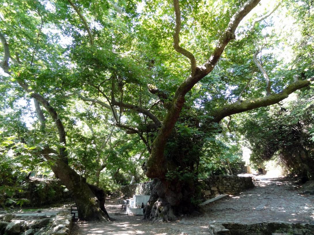 Αρχαία Λάππα