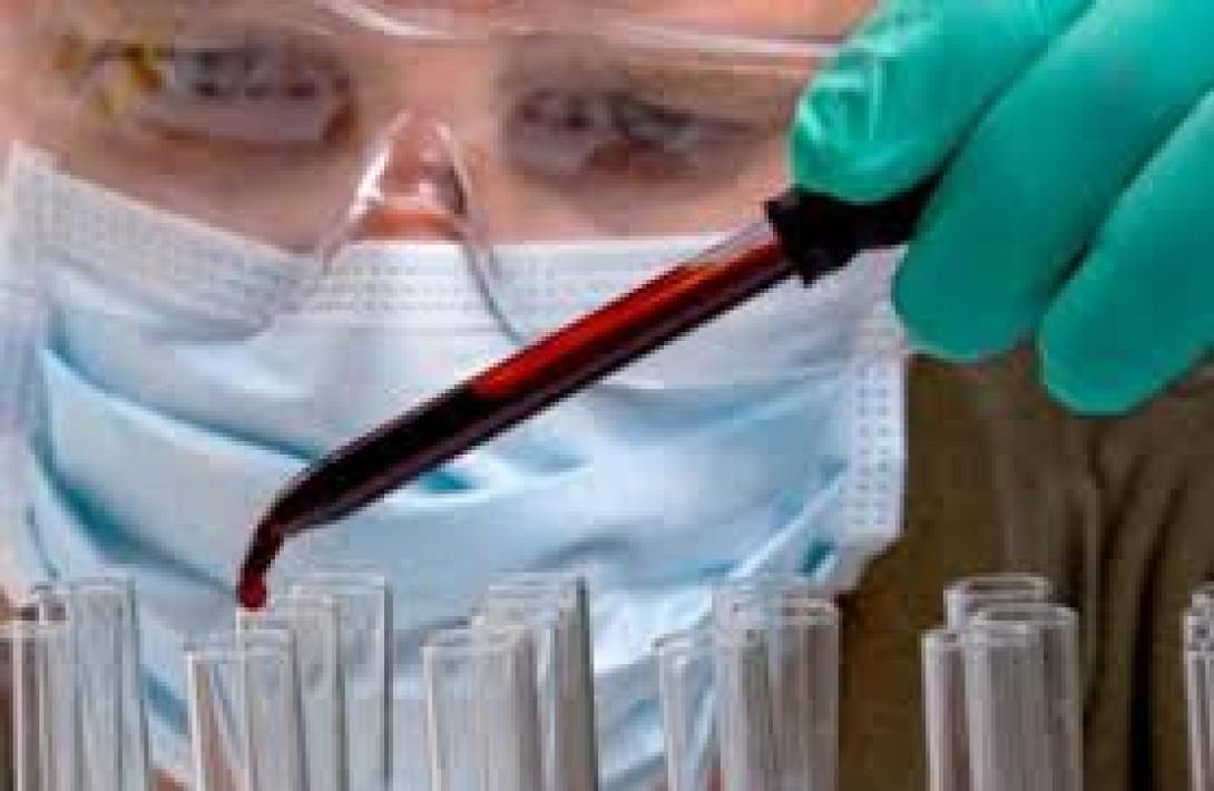 Νέα κρούσματα της γρίπης των πτηνών στην Ολλανδία