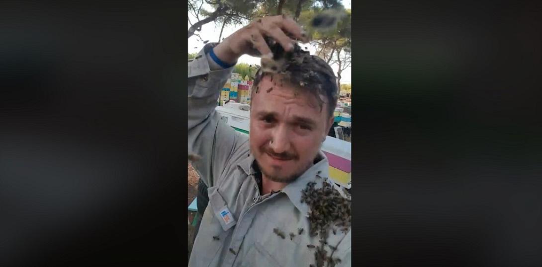 Άρης Σπυρόπουλος 