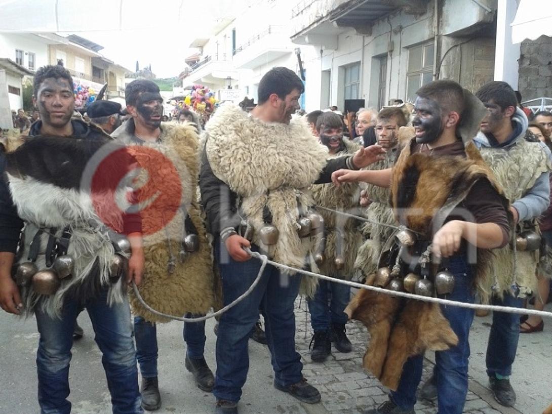 Αρκουδιαρηδες