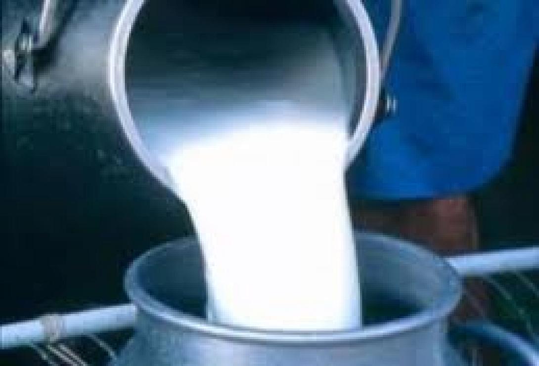 Η ελπίδα πεθαίνει τελευταία ...