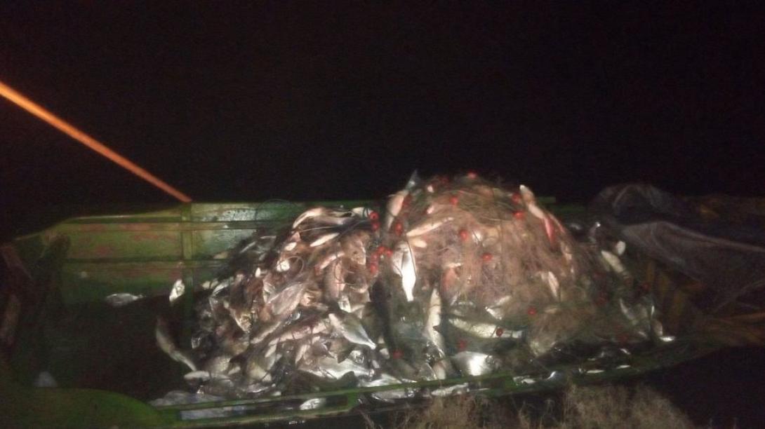 Οι ποσότητες ψαριών