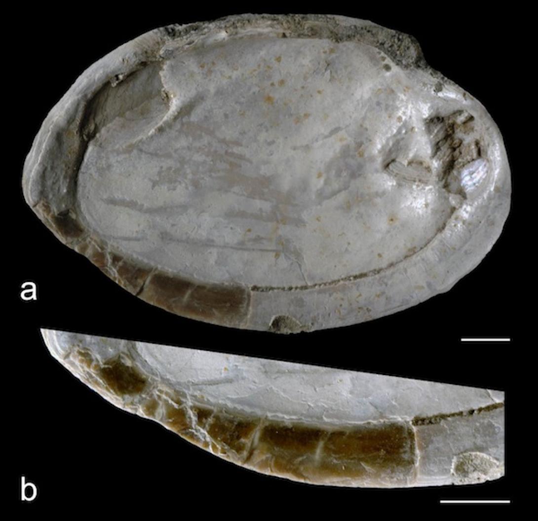 Το αρχαιότερο έργο αφηρημένης τέχνης