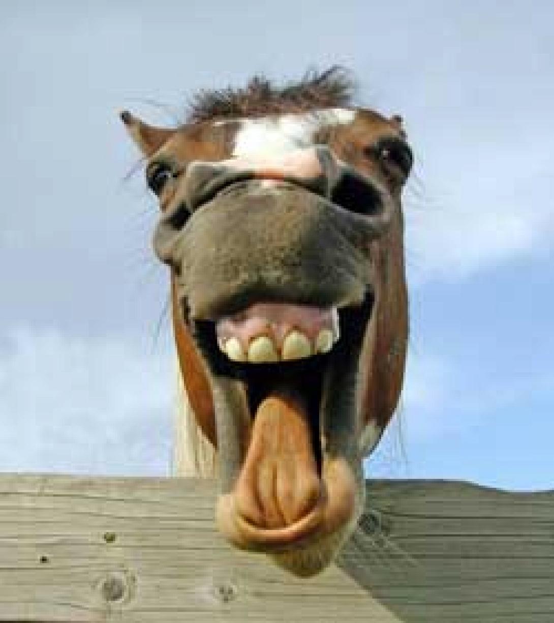 "Αστειάκια" καθημερινότητας