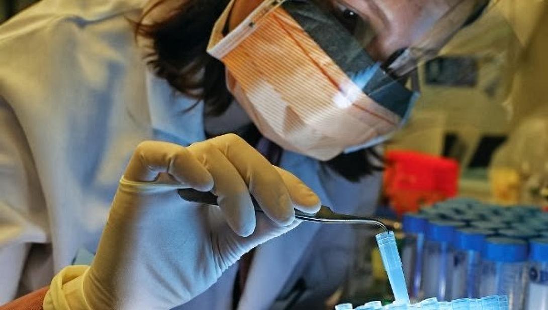 Ελπίδες για την καταπολέμηση της ασθένειας του ύπνου από τη μύγα τσετσέ