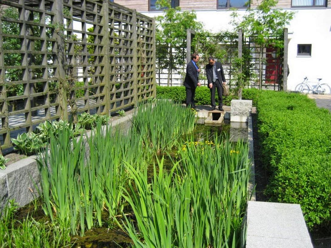 αστική οικολογία