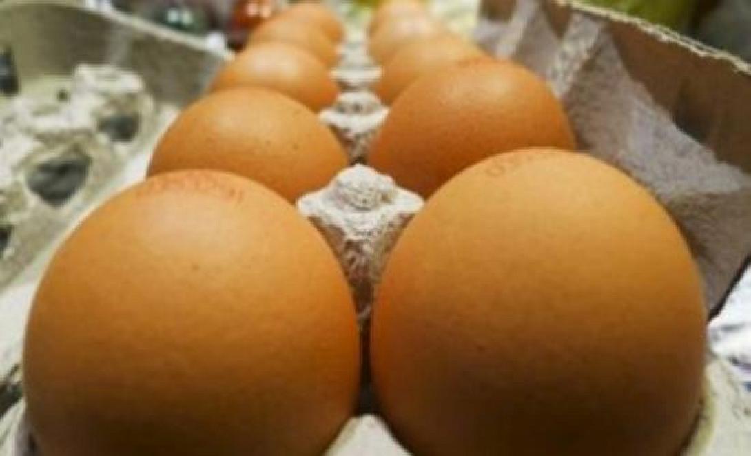 Συνάντηση Α.Τσαυτάρη με την Ένωση Αυγοπαραγωγών Ελλάδος