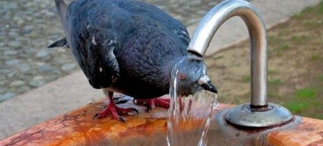 Ήταν ο πιο ζεστός Αύγουστος από το 1881!