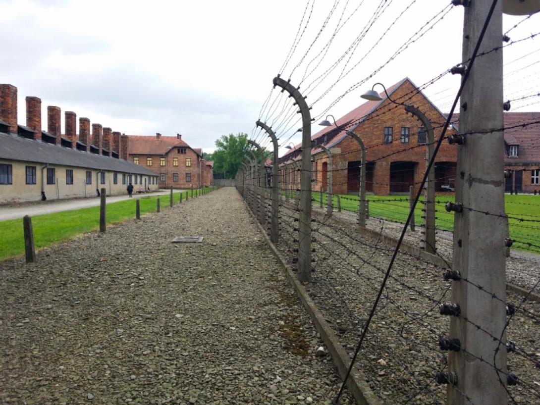 auschwitz-.jpg