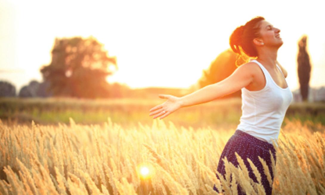 Όταν τα ζώδια κάνουν ... φιγούρα