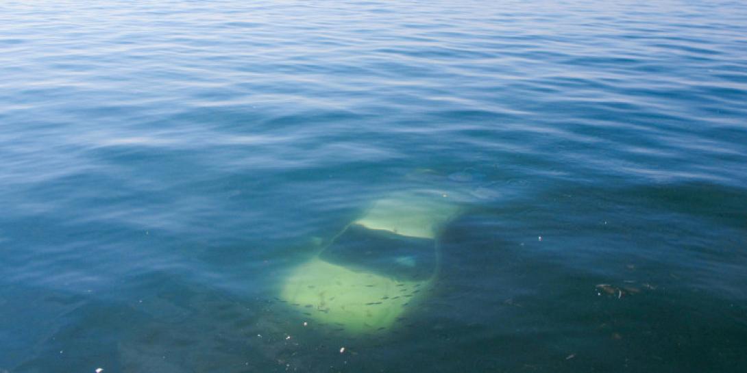 αυτοκινητο θαλασσα.jpg