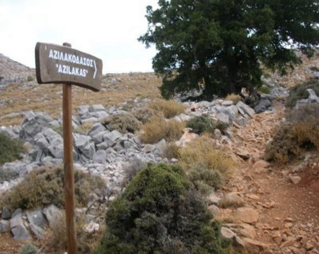 Πεζοπορία στο Αζιλακόδασος, την Κυριακή από τους Νέους της Νεάπολης