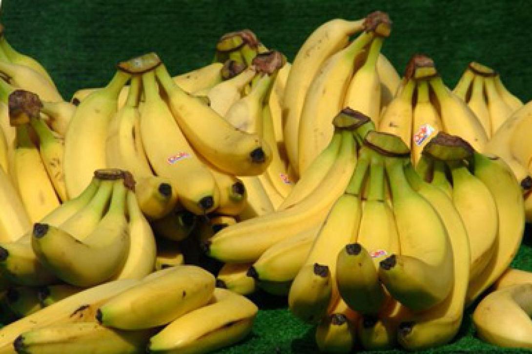 bananes.jpg
