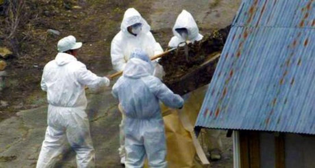 Ιαπωνία :Οι αρχές επιβεβαίωσαν τα πρώτα από το 2011 κρούσματα γρίπης των πτηνών στη χώρα