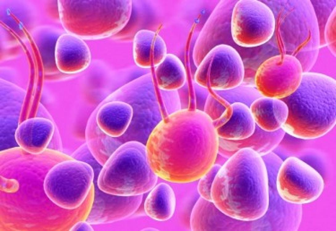 Επαναστατική εξέλιξη στη θεραπεία σοβαρών ασθενειών  με βλαστικά κύτταρα