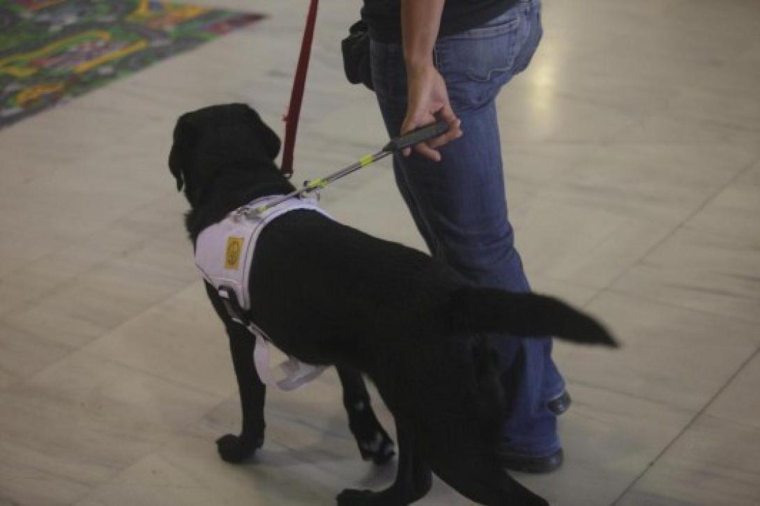 Άγνωστοι άρπαξαν 20.000 ευρώ από τυφλή