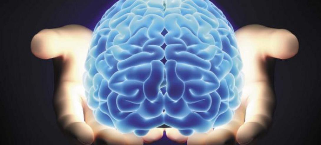 brain_pic1.jpg