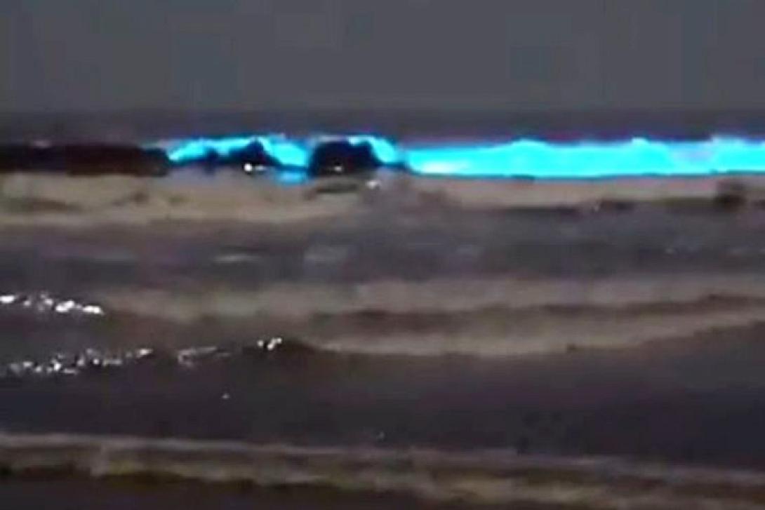 Ερυθρά Παλίρροια στην Καλιφόρνια 