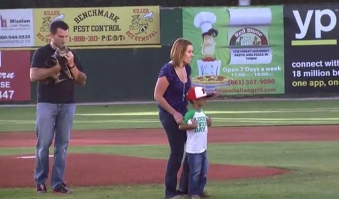 Η ηρωική γάτα του Υoutube, σκοράρει στο μπέιζμπολ!​ 