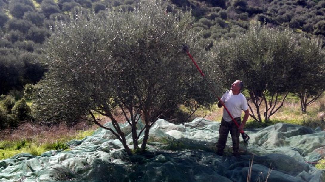 Νέα δικαιώματα για τις αγροτικές επιδοτήσεις από το 2015 - οι αλλαγές για το 2014