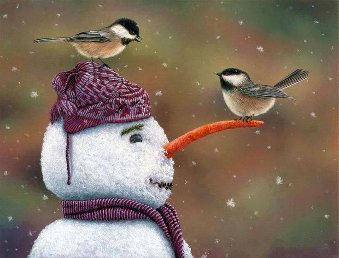 Ασθενείς βροχές και παγωνιά 