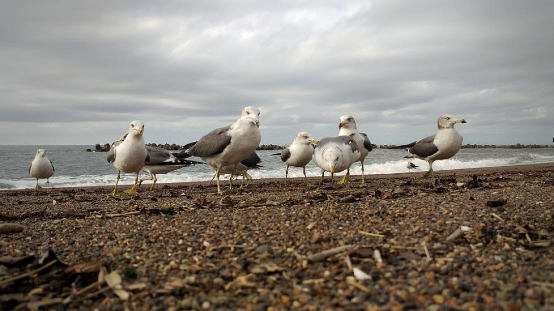 σύννεφα θάλασσα