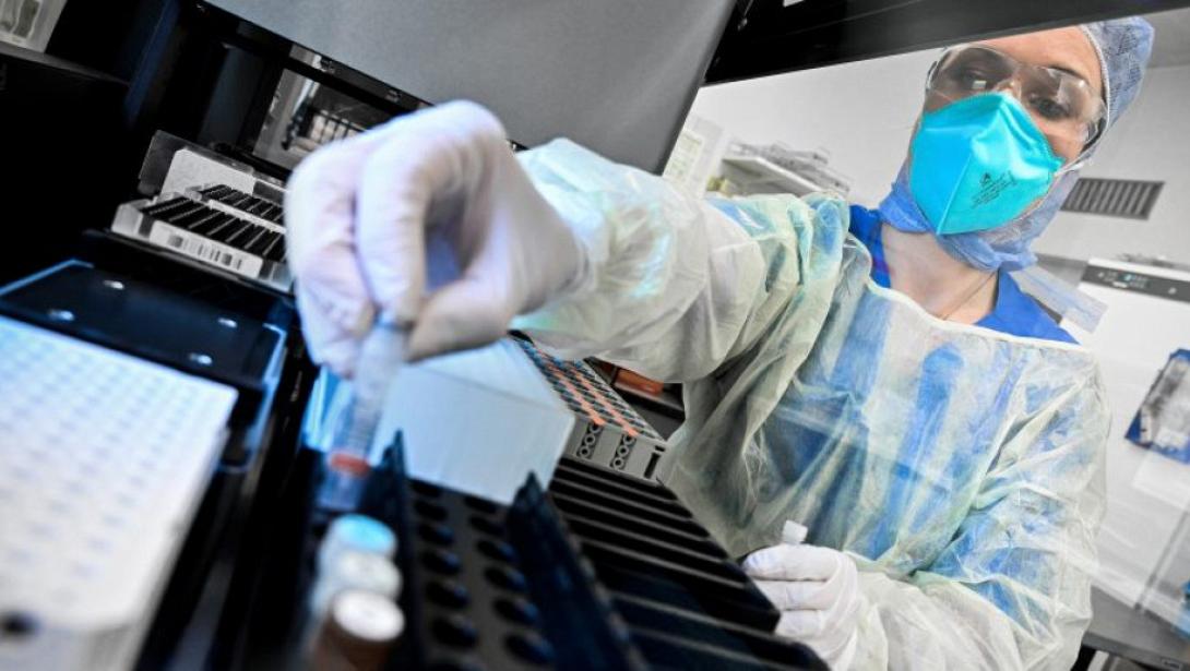 κορωνοϊός έρευνα