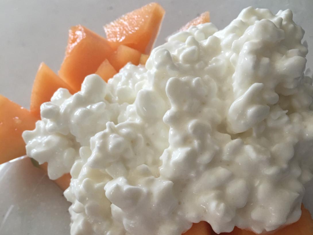 cottage_cheese.png