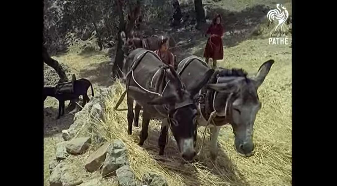 Ένα σπάνιο βίντεο από την "τουριστική" Κρήτη του 1964!