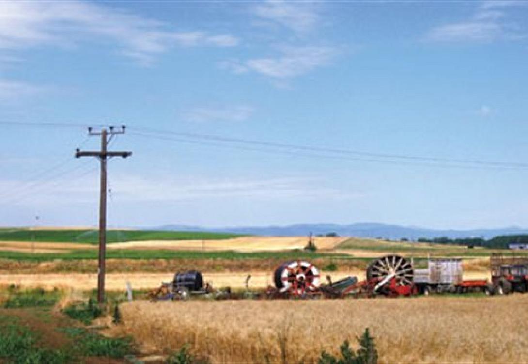 Πρόγραμμα Αγροτικού Εξηλεκτρισμού