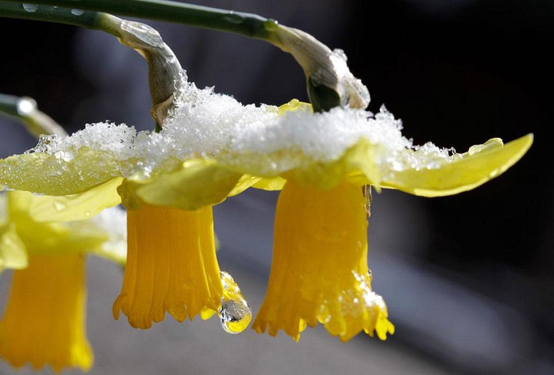 Βελτιώνεται ο καιρός, ανεβαίνει σταδιακά η θερμοκρασία