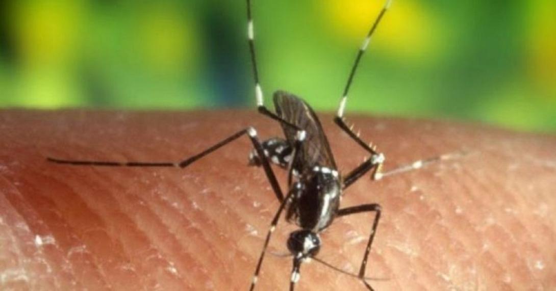 δάγκειος πυρετός