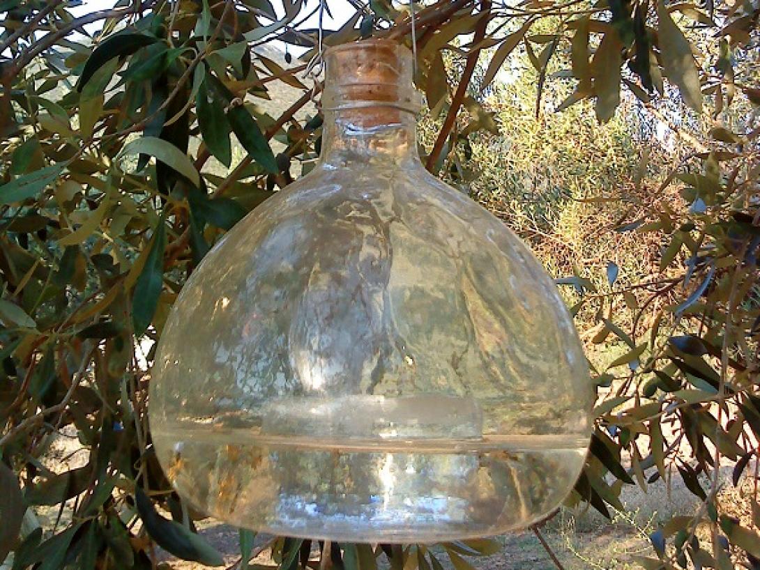 Οι εκλογές "κόλλησαν" την υπόθεση της Δακοκτονίας