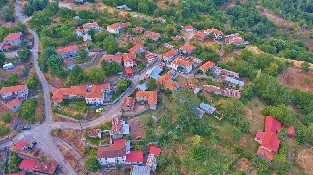 Δαμασκηνιά