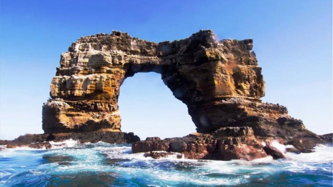 αψιδα δαρβινου