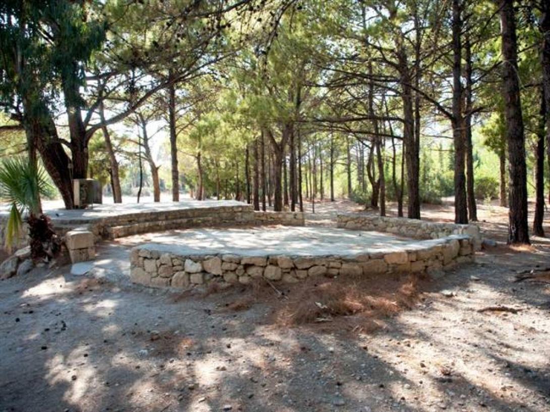 Φυτεύουν την Κυριακή στο δασάκι Κουτσουρά