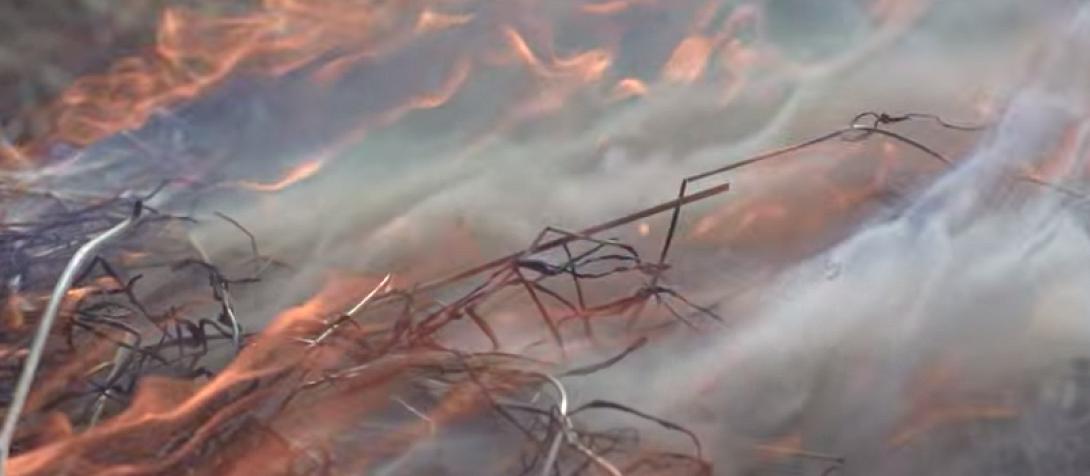 Δασικες Πυρκαγιες